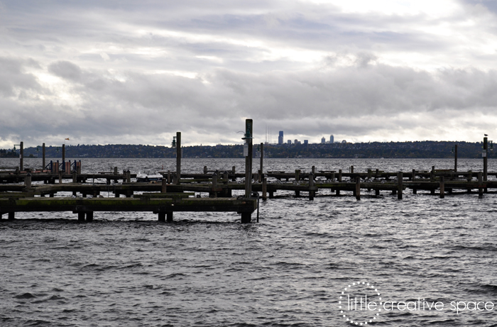 Seattle Docks