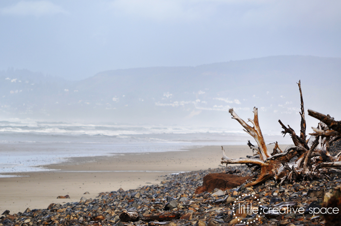 Driftwood Landscape