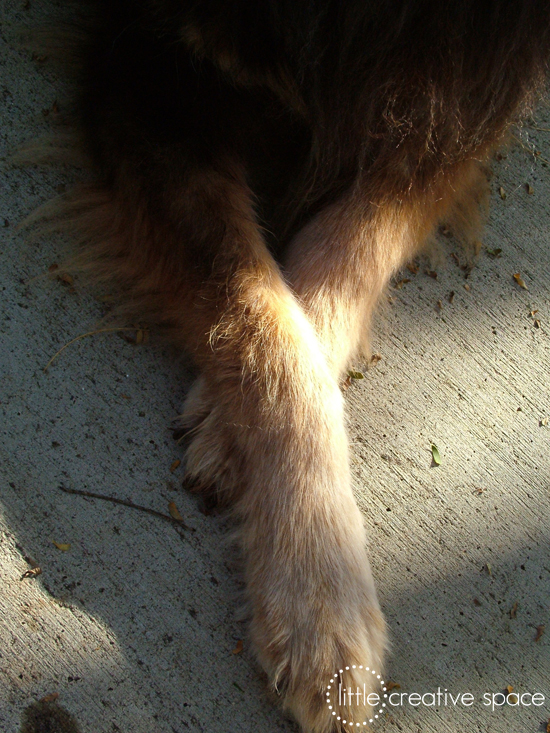 Roxy Crossing Her Legs