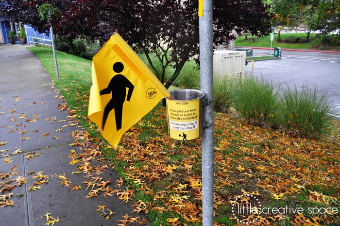 Crosswalk Flags