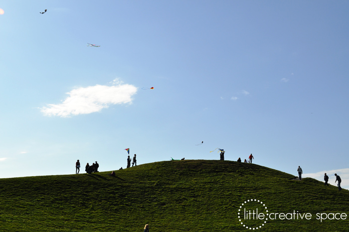 Kite Flying