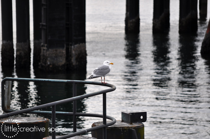 Bird On A Rail