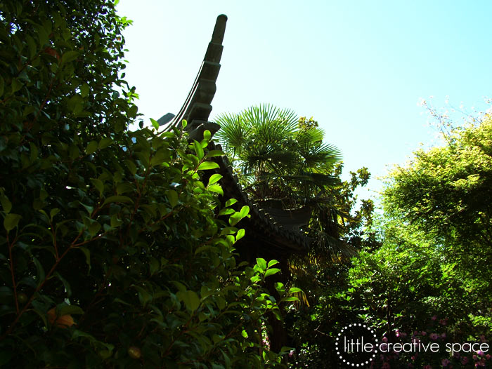 Trees Hiding The Roof