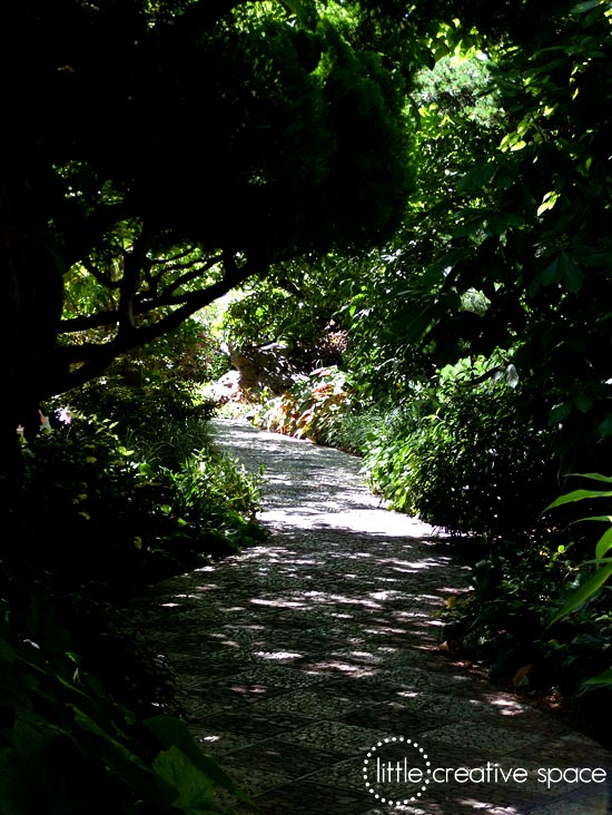 Tree Lined Path