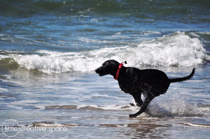 Running Lab