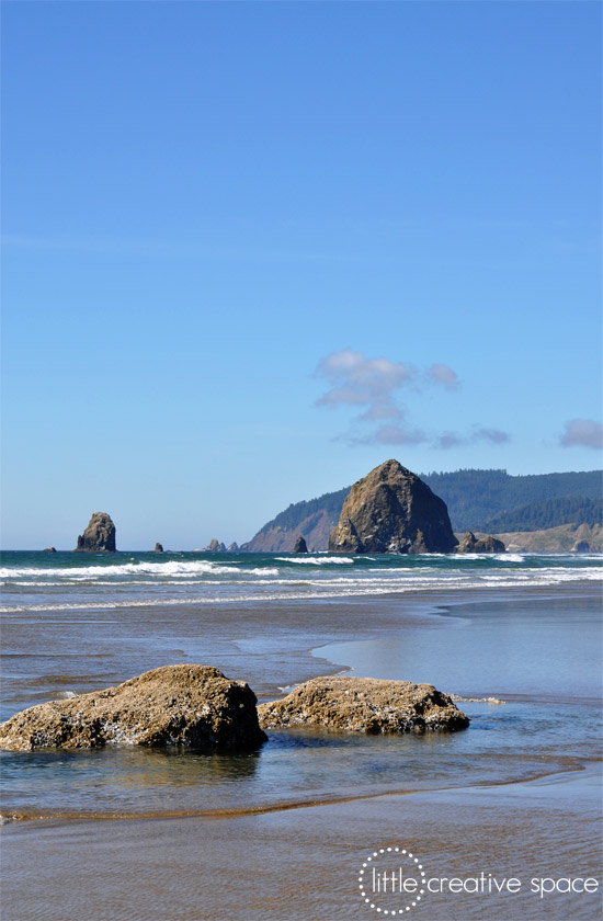 Foreground Rocks