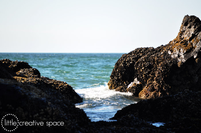 Rocks and Waves