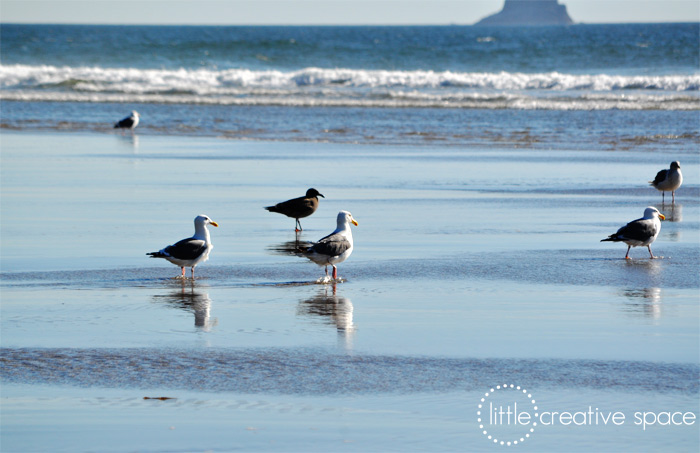 Reflected Birds