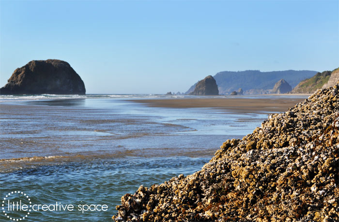 Rocky Landscape