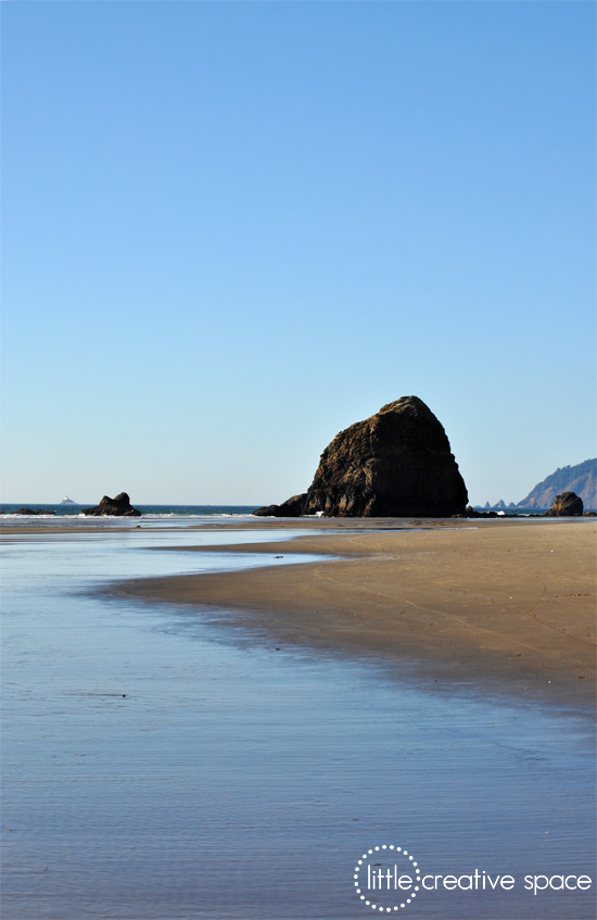 Low Tide Beach