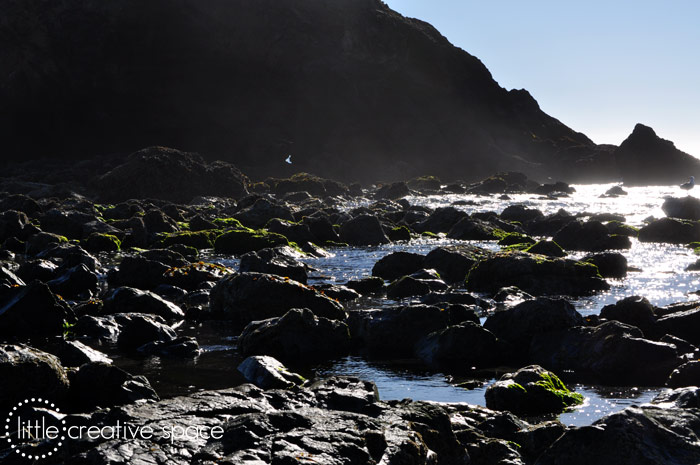 Misty Mossy Rocks