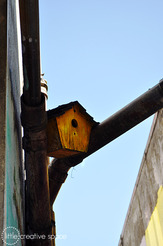 Urban Birdhouse