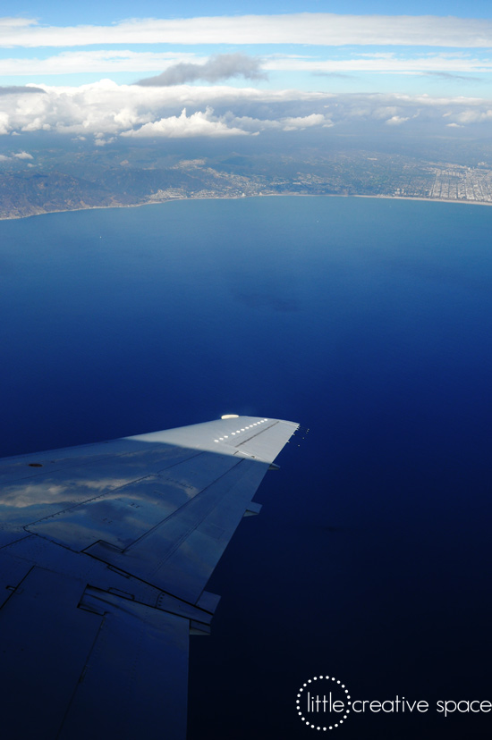 Coastline From The Air