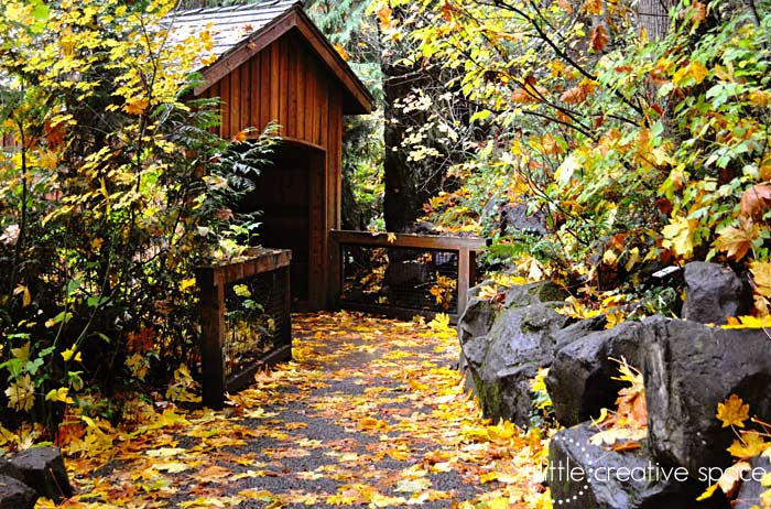 Oregon Zoo In The Fall