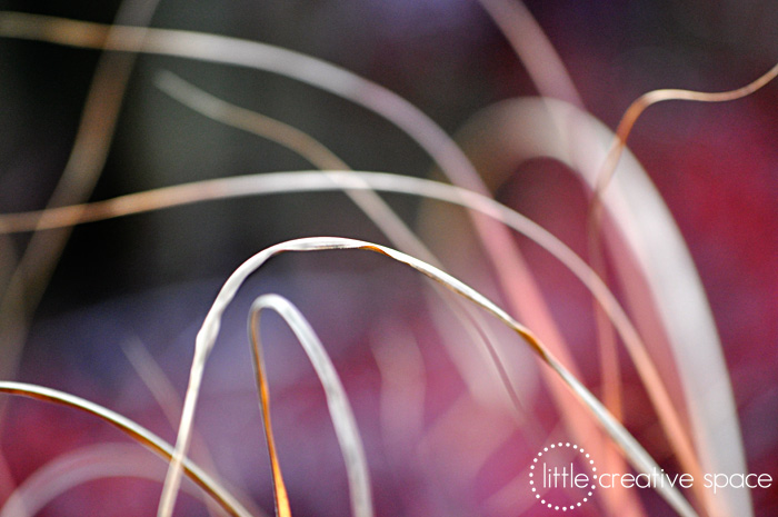 Abstract Dry Grass 1