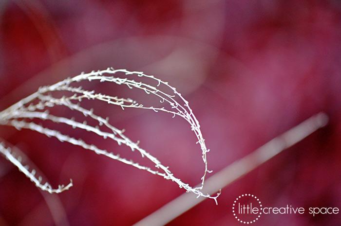 Abstract Dry Grass 2