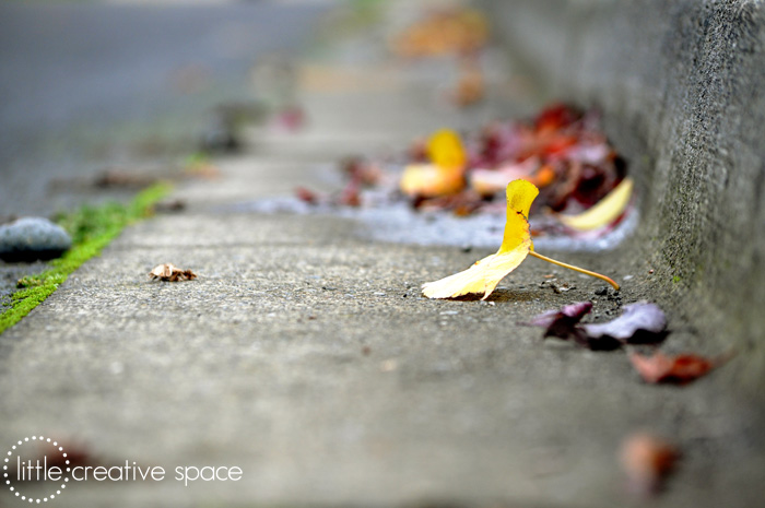 Pretty Gutter Leaves