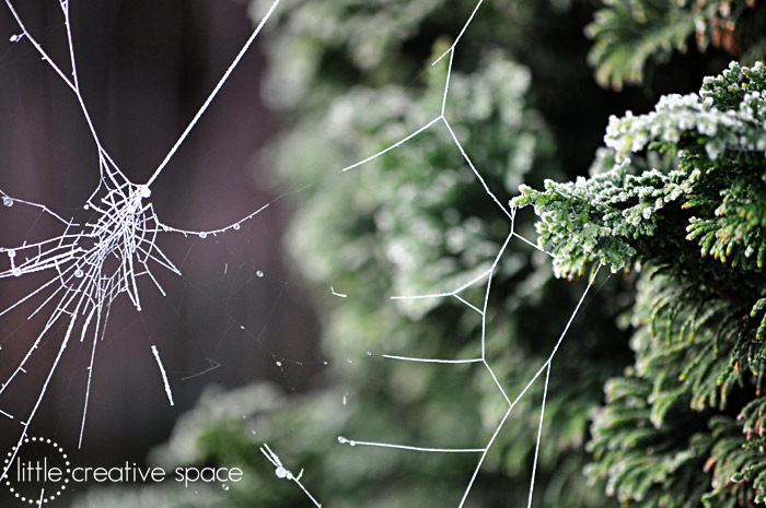 Stretched Web
