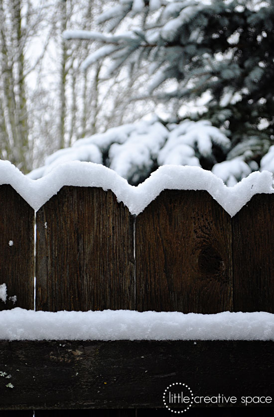 Snowy Fence