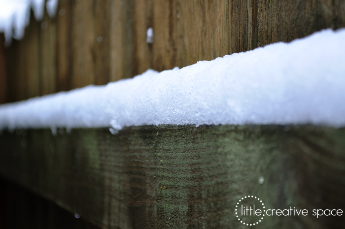 Snow Covered Ledge