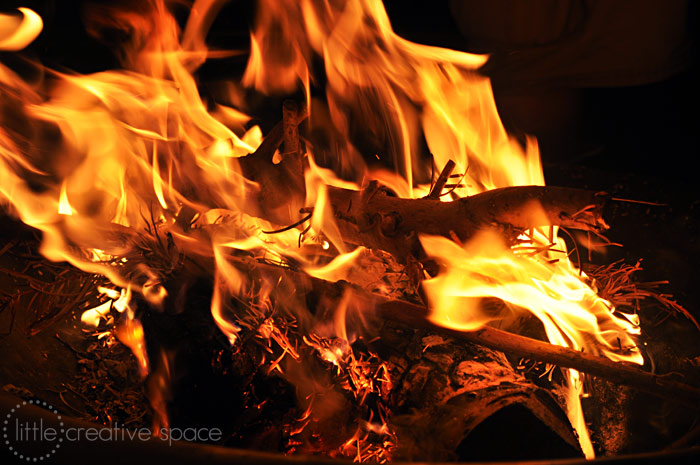 Burning Logs