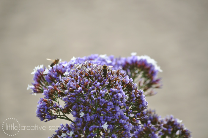 Purple Flowers and Bees