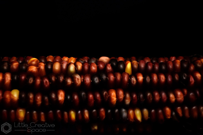 Indian Corn - 365 Project
