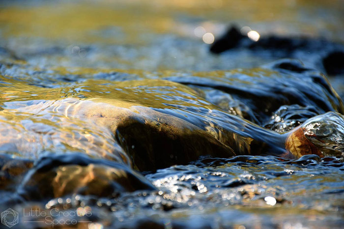 Lewisville Park River Rocks - 365 Project