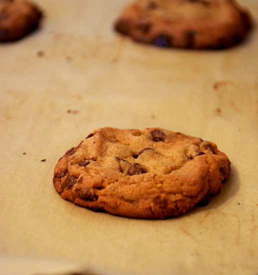 Fresh Chocolate Chip Cookies - 365 Project