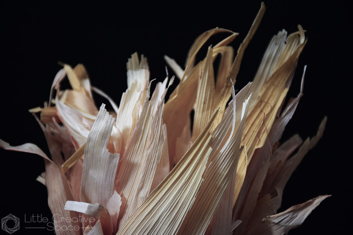 Dried Corn Husks - 365 Project