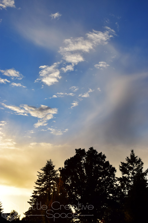 Swirling Sunset Clouds Over Trees - 365 Project