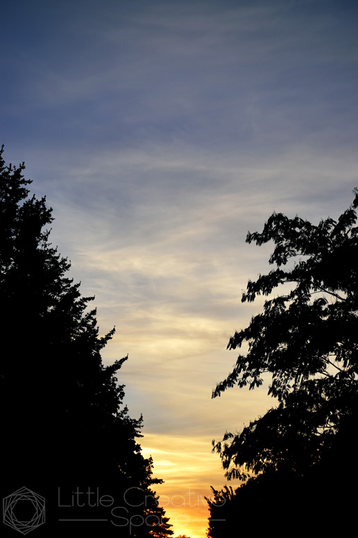 Swirling Sunset Clouds Between Trees - 365 Project