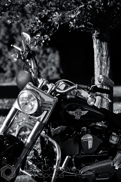 Harley Davidson Motorcycle - 365 Project