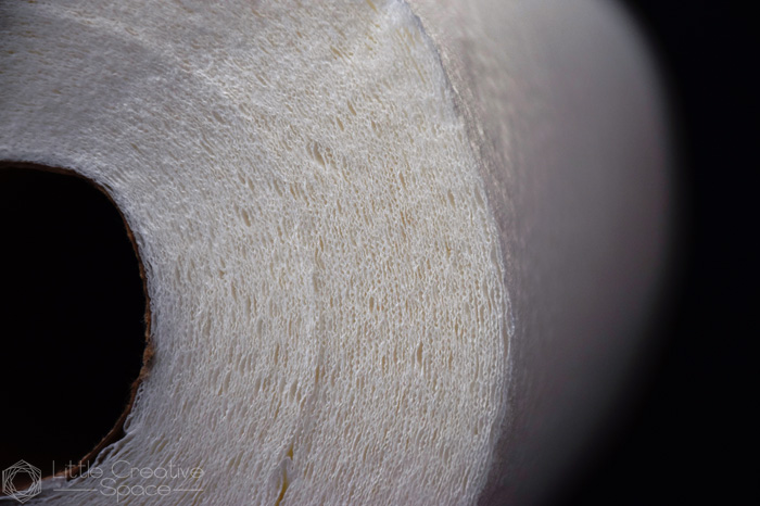 Paper Towel Fibers Close Up - 365 Project