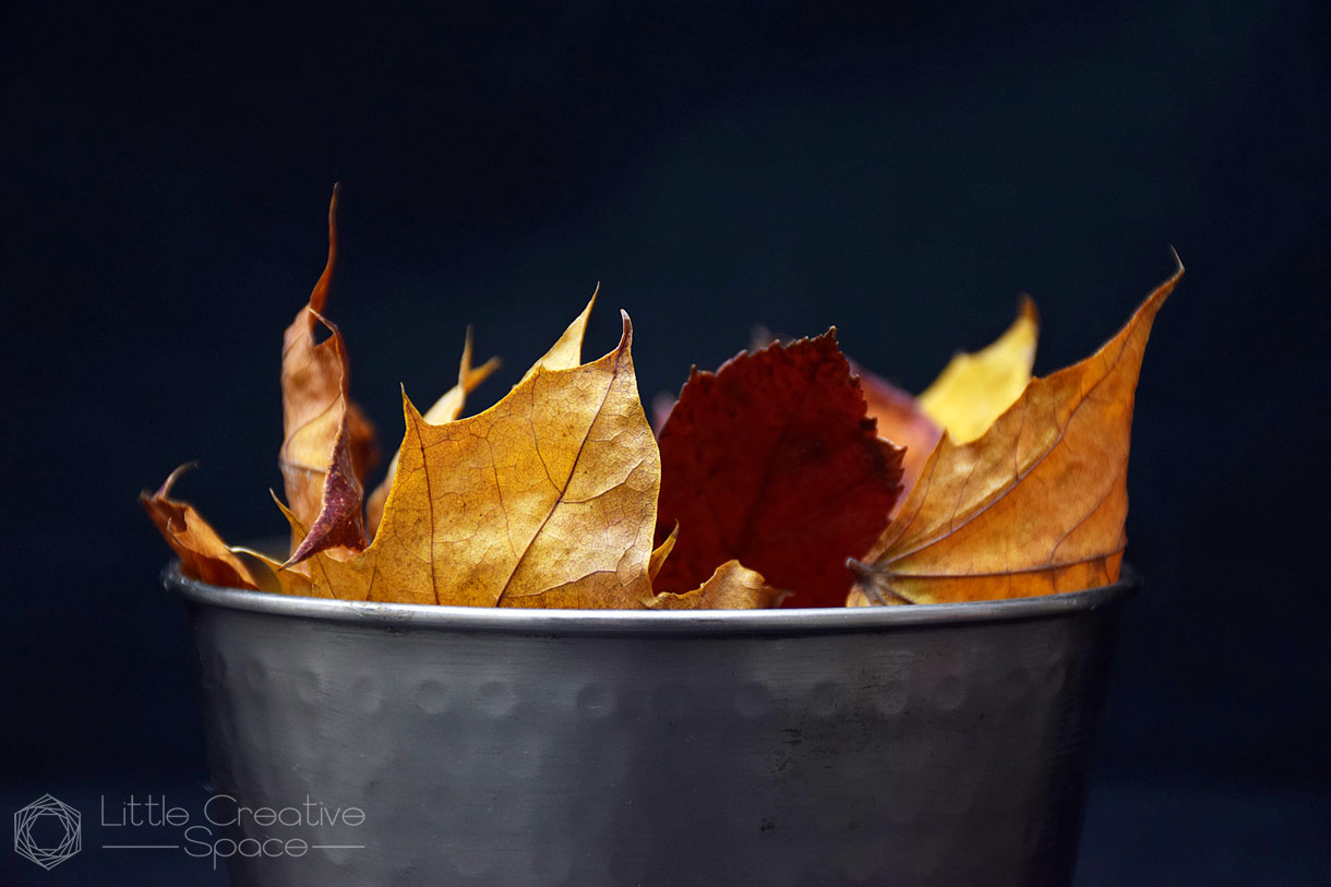 Fall Leaves In A Metal Dish - 365 Project