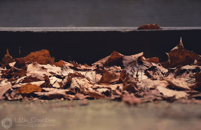 Pile Of Fall Leaves - 365 Project