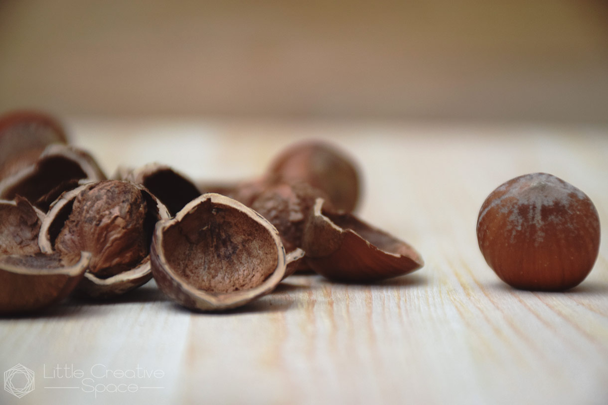 Hazelnut Filbert Shells - 365 Project